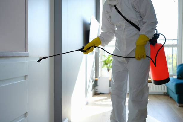 Best Commercial Mold Remediation in Nephi, UT